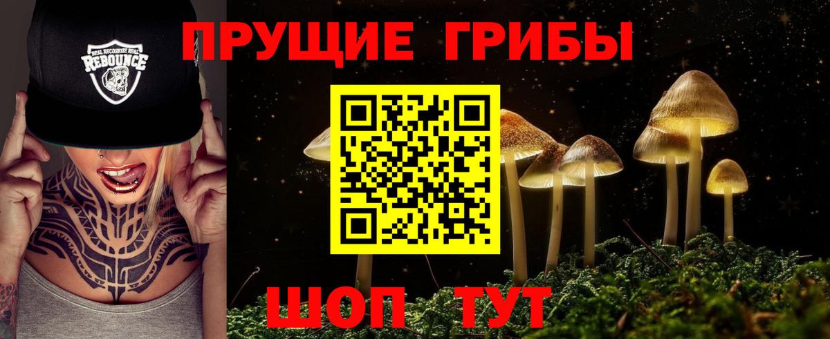 Галлюциногенные грибы Psilocybe Домодедово